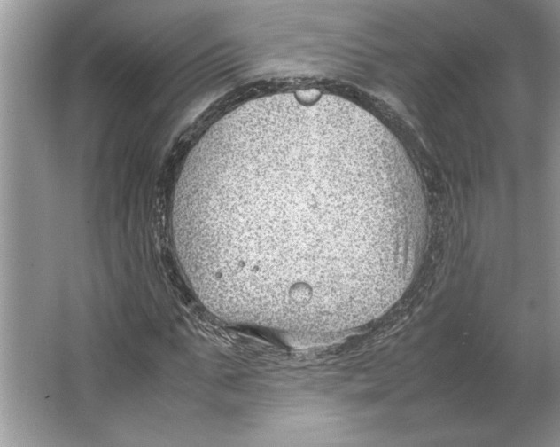 X0000064750871200603031731