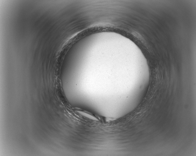 X0000064750872200603031731