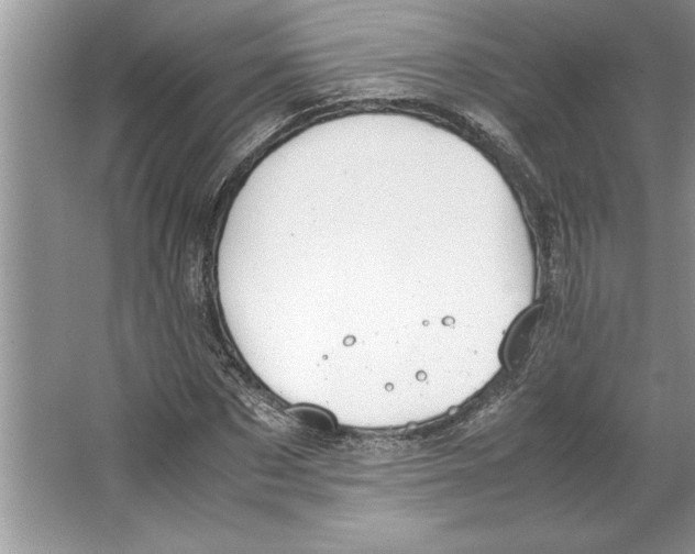 X0000064750873200603031731