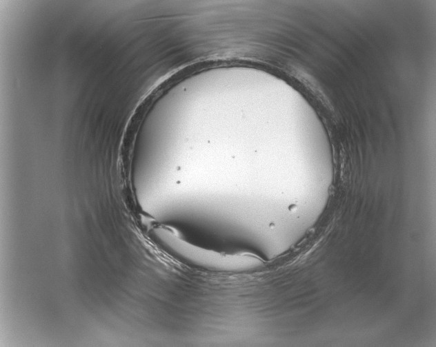 X0000064750876200603031731