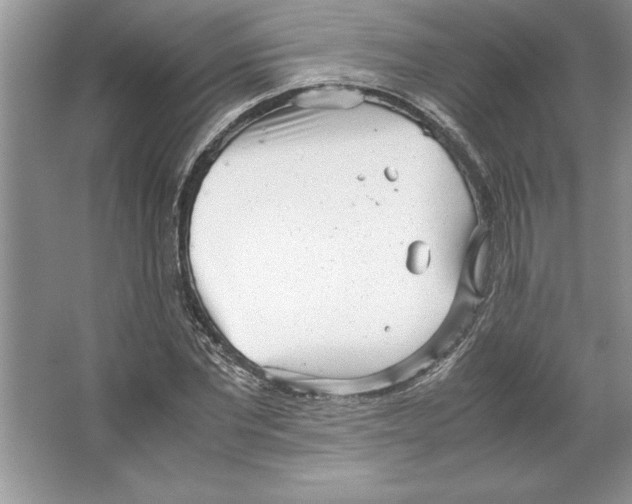 X0000064750877200603031731