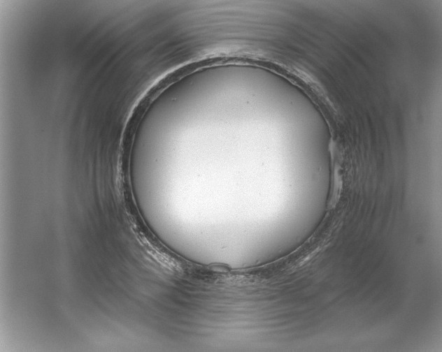 X0000064750880200603031731