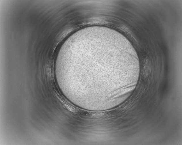 X0000064750882200603031731