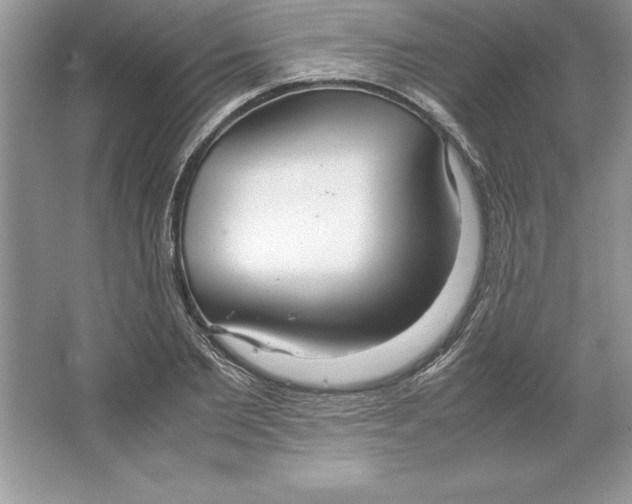 X0000064750885200603031730