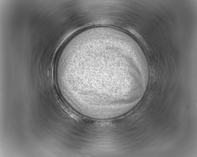 X0000064750886200603031730