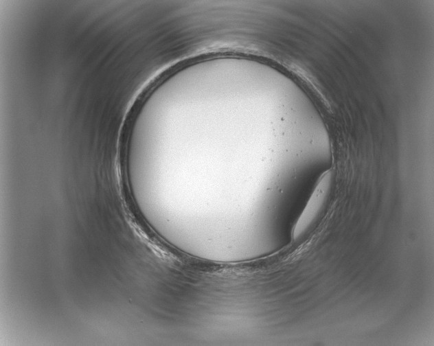 X0000064750888200603031730