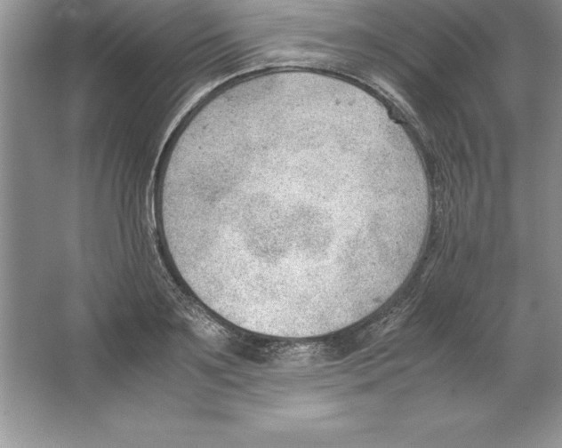 X0000064750891200603031730