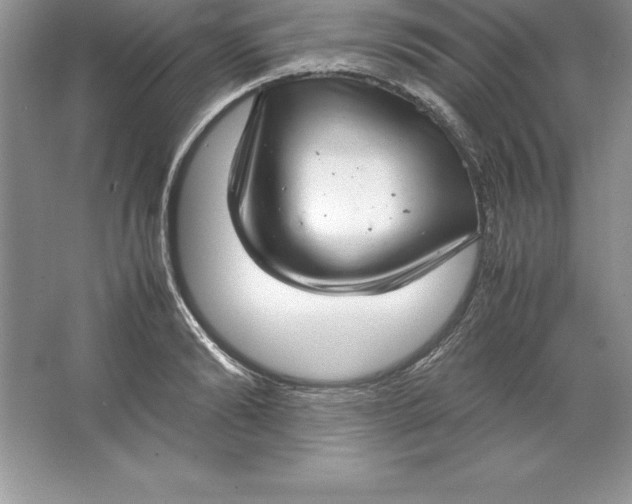 X0000064750894200603031730