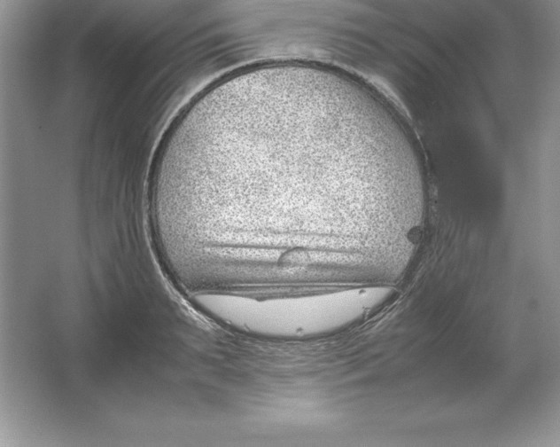 X0000064750895200603031730