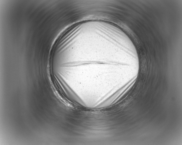 X0000064750896200603031730