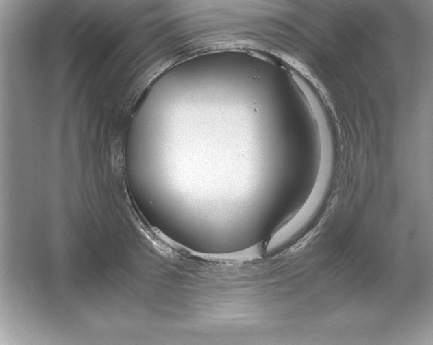 X0000064750897200603031730