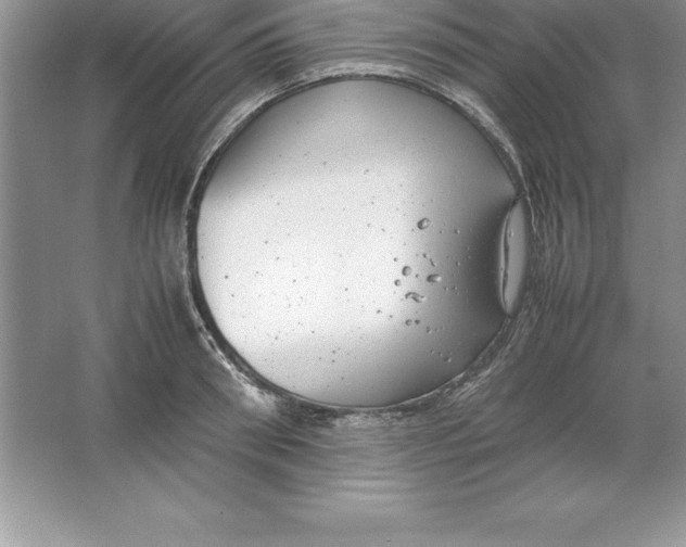 X0000064750898200603031730