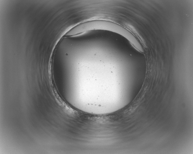 X0000064750900200603031730