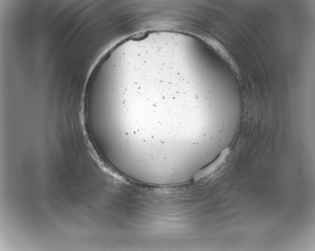 X0000064750904200603031730