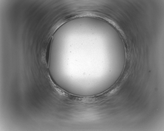 X0000064750905200603031730