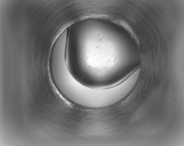 X0000064750906200603031730