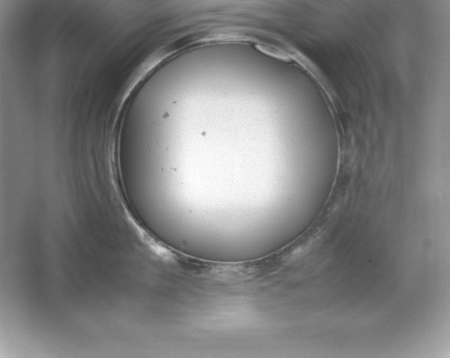 X0000064750909200603031730