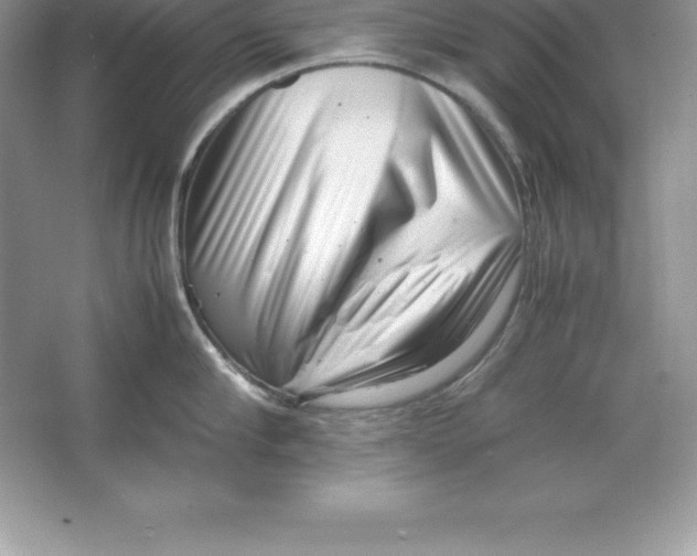 X0000064750910200603031730