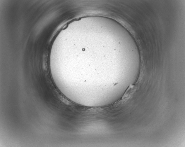 X0000064750912200603031730