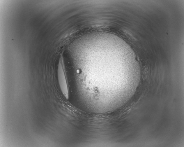 X0000064750917200603031729