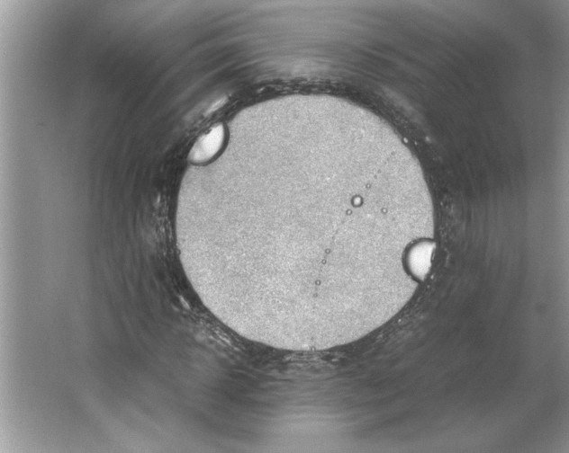 X0000064750918200603031729