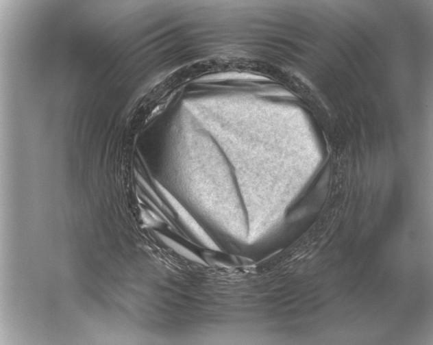 X0000064750919200603031729