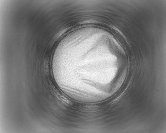 X0000064750921200603031729