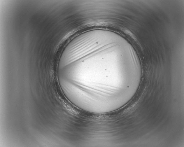 X0000064750922200603031729