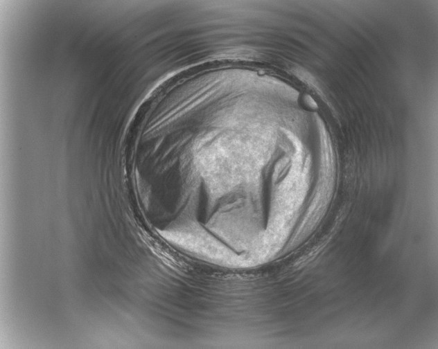 X0000064750923200603031729