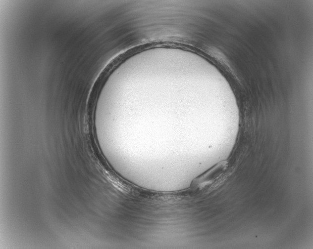 X0000064750924200603031729