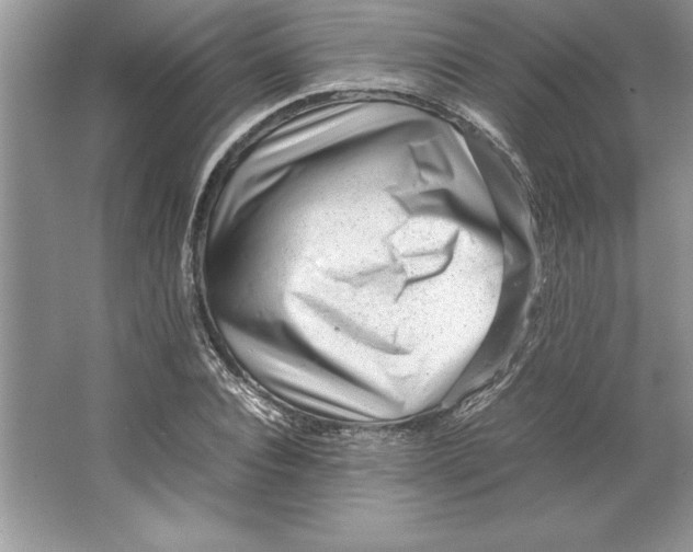 X0000064750928200603031729