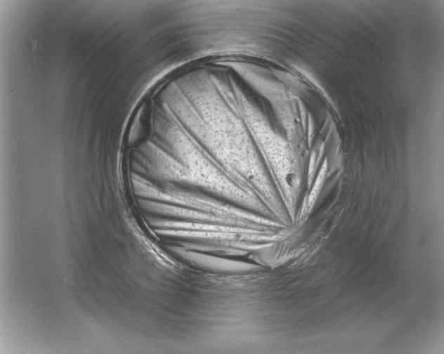 X0000064750932200603031730