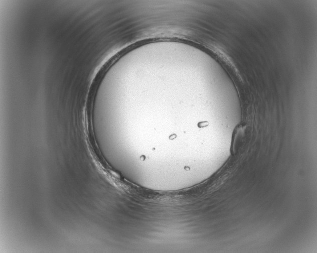 X0000064750936200603031730