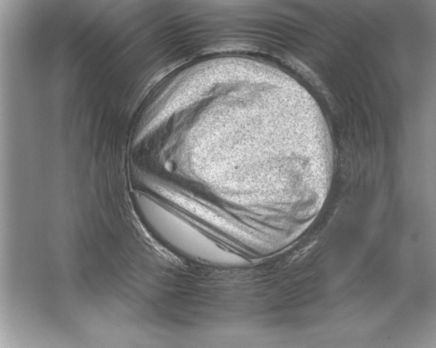 X0000064750937200603031730