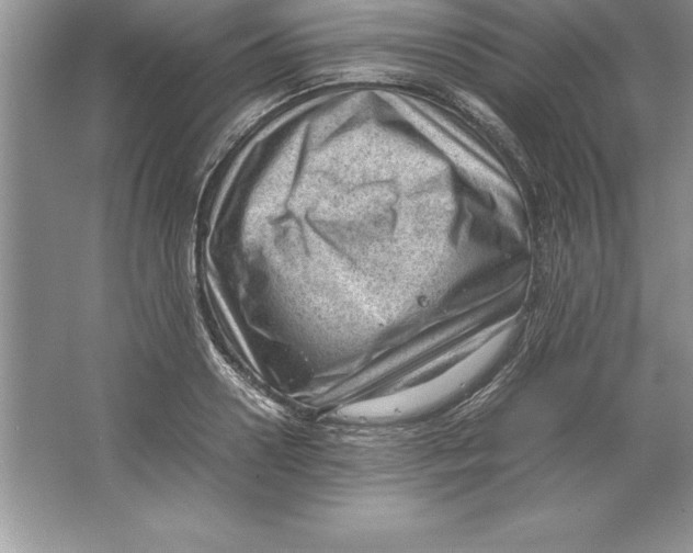 X0000064750938200603031730