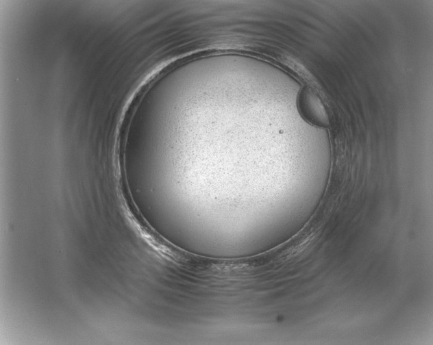 X0000064750939200603031730