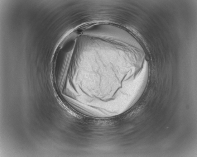 X0000064750941200603031730