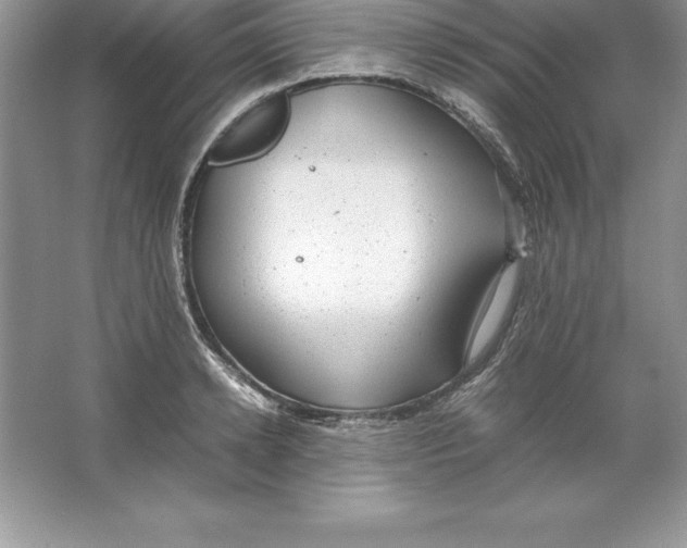 X0000064750942200603031730