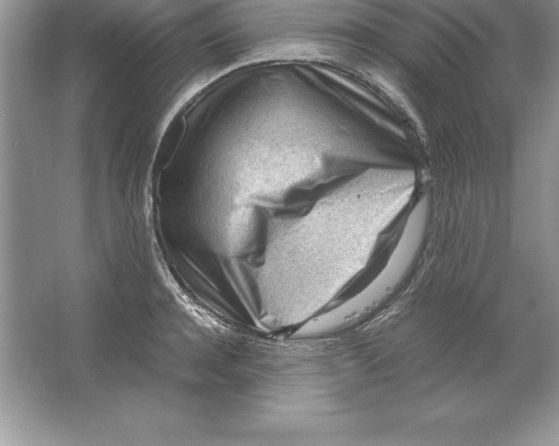 X0000064750944200603031730