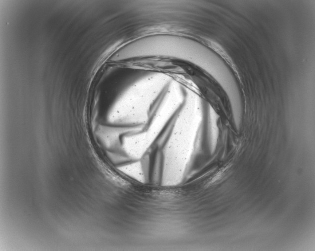 X0000064750946200603031730