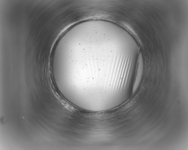 X0000064750948200603031730