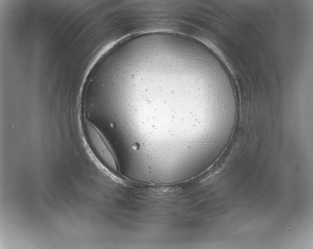 X0000064750949200603031730