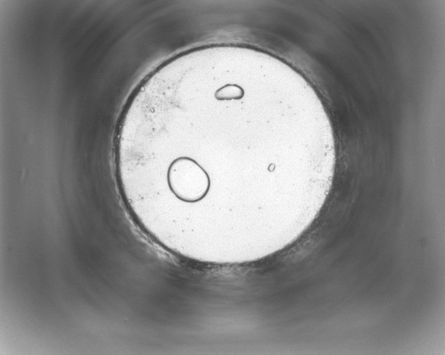 X0000064750950200603031730