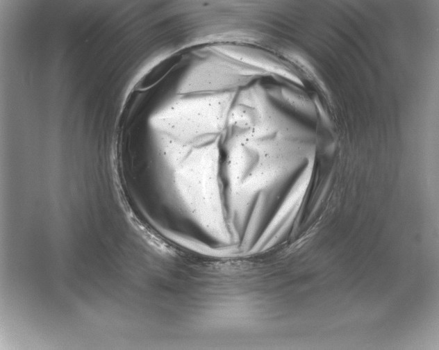 X0000064750952200603031730