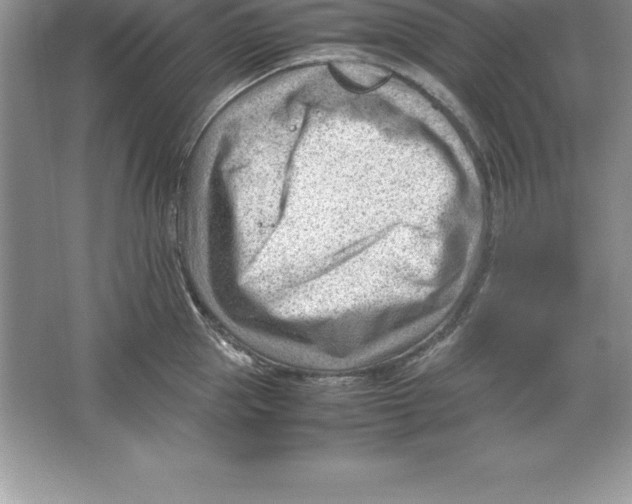 X0000064750953200603031730