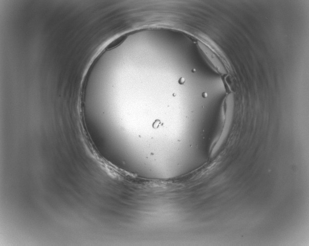 X0000064750956200603031730