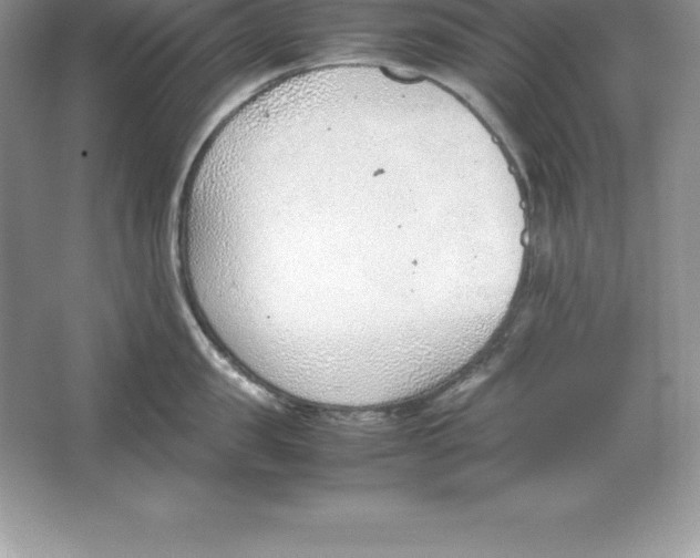 X0000064750957200603031730