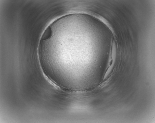 X0000064750958200603031730