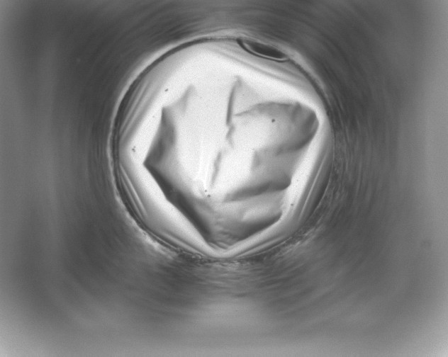 X0000064750959200603031730