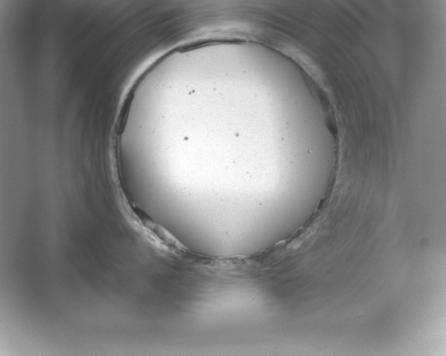 X0000064750960200603031730